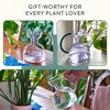 image:imageModern Sprout Plant Watering Can  Handcrafted from Borosilicate Glass  Long Spout Vessel for Indoor Plants  32 Oz Capacity  Multipurpose Watering Can amp Flower Vase for Houseplants PurpleEmeraldPurpleEmerald