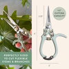 image:imageModern Sprout Pruning Shears  Herb Snipping Scissors Lightweight Gardening Tools WEasy Lock  Flower Cutter Garden Shears  Gift for Fathers Day  Carbon Steel BladeReusable HolsterOcean1PackMulticolor  4pcs