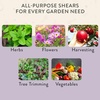 image:imageModern Sprout Pruning Shears  Herb Snipping Scissors Lightweight Gardening Tools WEasy Lock  Flower Cutter Garden Shears  Gift for Fathers Day  Carbon Steel BladeReusable HolsterOcean1PackLavender