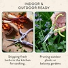 image:imageModern Sprout Pruning Shears  Herb Snipping Scissors Lightweight Gardening Tools WEasy Lock  Flower Cutter Garden Shears  Gift for Fathers Day  Carbon Steel BladeReusable HolsterOcean1PackOcean