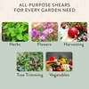 image:imageModern Sprout Pruning Shears  Herb Snipping Scissors Lightweight Gardening Tools WEasy Lock  Flower Cutter Garden Shears  Gift for Fathers Day  Carbon Steel BladeReusable HolsterOcean1PackSage