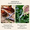 image:imageModern Sprout Pruning Shears  Herb Snipping Scissors Lightweight Gardening Tools WEasy Lock  Flower Cutter Garden Shears  Gift for Fathers Day  Carbon Steel BladeReusable HolsterOcean1PackChartreuse