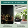 image:imageModern Sprout Smart Growbar V2 LED Grow Light for Indoor Plants Full Spectrum Under Cabinet Grow Light wApp amp Timer Dimmable Grow Light Bar for Herbs Seedlings Houseplants amp Home Decor GiftingWhite