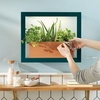 image:imageModern Sprout Smart Growframe  Wall Mounted Plant Stand with LED Grow Light  Smart App Controlled  PowderCoated Steel Frame for Indoor Plants  Perfect for Gifting Home and Kitchen Decor EmeraldSquare Emerald