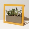 image:imageModern Sprout Smart Growframe  Wall Mounted Plant Stand with LED Grow Light  Smart App Controlled  PowderCoated Steel Frame for Indoor Plants  Perfect for Gifting Home and Kitchen Decor EmeraldSquare Mustard
