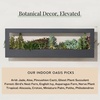 image:imageModern Sprout Smart Growframe  Wall Mounted Plant Stand with LED Grow Light  Smart App Controlled  PowderCoated Steel Frame for Indoor Plants  Perfect for Gifting Home and Kitchen Decor EmeraldLandscape Matte Black