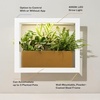 image:imageModern Sprout Smart Growframe  Wall Mounted Plant Stand with LED Grow Light  Smart App Controlled  PowderCoated Steel Frame for Indoor Plants  Perfect for Gifting Home and Kitchen Decor EmeraldSquare White