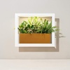 image:imageModern Sprout Smart Growframe  Wall Mounted Plant Stand with LED Grow Light  Smart App Controlled  PowderCoated Steel Frame for Indoor Plants  Perfect for Gifting Home and Kitchen Decor EmeraldSquare White