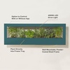 image:imageModern Sprout Smart Growframe  Wall Mounted Plant Stand with LED Grow Light  Smart App Controlled  PowderCoated Steel Frame for Indoor Plants  Perfect for Gifting Home and Kitchen Decor EmeraldLandscape Emerald