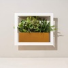 image:imageModern Sprout Smart Growframe  Wall Mounted Plant Stand with LED Grow Light  Smart App Controlled  PowderCoated Steel Frame for Indoor Plants  Perfect for Gifting Home and Kitchen Decor EmeraldSquare White
