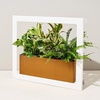 image:imageModern Sprout Smart Growframe  Wall Mounted Plant Stand with LED Grow Light  Smart App Controlled  PowderCoated Steel Frame for Indoor Plants  Perfect for Gifting Home and Kitchen Decor EmeraldSquare White