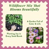 image:imageModern Sprout Wildflower Seed Ball Poop  EcoFriendly Gift  NonGMO HandRolled Clay Seed Bombs with Wildflower Seeds  Plop Plant amp Grow Gardening Gift Set for All Occasions Jingle PlopPack of 3Magical Plop 3pk