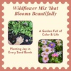 image:imageModern Sprout Wildflower Seed Ball Poop  EcoFriendly Gift  NonGMO HandRolled Clay Seed Bombs with Wildflower Seeds  Plop Plant amp Grow Gardening Gift Set for All Occasions Jingle PlopPack of 3Jingle Plop 3pk