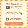 image:imageModern Sprout Wildflower Seed Ball Poop  EcoFriendly Gift  NonGMO HandRolled Clay Seed Bombs with Wildflower Seeds  Plop Plant amp Grow Gardening Gift Set for All Occasions Jingle PlopPack of 3Easter Plop 3pk