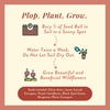 image:imageModern Sprout Wildflower Seed Ball Poop  EcoFriendly Gift  NonGMO HandRolled Clay Seed Bombs with Wildflower Seeds  Plop Plant amp Grow Gardening Gift Set for All Occasions Jingle PlopPack of 3Jingle Plop 3pk