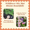 image:imageModern Sprout Wildflower Seed Ball Poop  EcoFriendly Gift  NonGMO HandRolled Clay Seed Bombs with Wildflower Seeds  Plop Plant amp Grow Gardening Gift Set for All Occasions Jingle PlopPack of 3Easter Plop 3pk