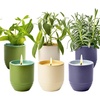 3-pack Lavender  Mint & Sage