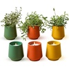 3-pack Lavender  Rosemary & Thyme