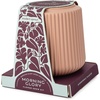 image:imageModern Sprout Flower Grow Kit  Ceramic Planter with Indoor Hydroponics Growing System Kit Ideal for Living Room Decor  Unique Gardening Gifts  Morning Glory Self Watering Flower Planting KitMorning Glory