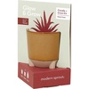 image:imageModern Sprout Glow and Grow Kit  2 in 1 Scented Candle that Grows into a Daisy Plant  12 oz Soy Candle with 78 hr Burn time in Glaze Ceramic Vessel  Planter Ideal for Home Decor AestheticAloe