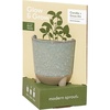 image:imageModern Sprout Glow and Grow Kit  2 in 1 Scented Candle that Grows into a Daisy Plant  12 oz Soy Candle with 78 hr Burn time in Glaze Ceramic Vessel  Planter Ideal for Home Decor AestheticBasil