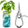 Basil Garden Jar + Sage Shears