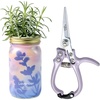 image:imageModern Sprout Hydroponic GrowHarvest Bundle  Mason Jar Herb Garden Kit Indoor wLavender Pruning Shears Organic NonGMO Lavender SeedsGarden SnipsSelfWatering Planter for Kitchen Countertop GiftLavender Garden Jar  Lavender Shears