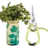 Cilantro Garden Jar + Chartreuse Shears