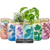 Basil + Mint + Parsley + Cilantro + Rosemary+ Lavender