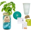 image:imageModern Sprout Mason Garden Jar  SelfWatering Hydroponics Growing System Kit with Organic Herb Seeds  Jar Planter for Indoor Herb Garden  Seed Starter Kit  Home Decor amp Gifting  LavenderBasil