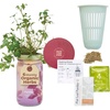 Parsley