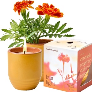 image:imageModern Sprout  2in1 Soy Candle amp Planter  in The Weeds Eucalyptus Pink Pepper Patchouli Citrus 6 Oz Scented Candle wMint Seeds  Ceramic Vessel Dual Purpose Jar  3840 Hour Burn1Pack Last Light  Cintronella
