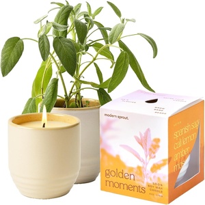 image:imageModern Sprout  2in1 Soy Candle amp Planter  in The Weeds Eucalyptus Pink Pepper Patchouli Citrus 6 Oz Scented Candle wMint Seeds  Ceramic Vessel Dual Purpose Jar  3840 Hour Burn1Pack Golden Moments  Sage