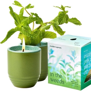 image:imageModern Sprout  2in1 Soy Candle amp Planter  in The Weeds Eucalyptus Pink Pepper Patchouli Citrus 6 Oz Scented Candle wMint Seeds  Ceramic Vessel Dual Purpose Jar  3840 Hour Burn1Pack In the Weeds  Mint