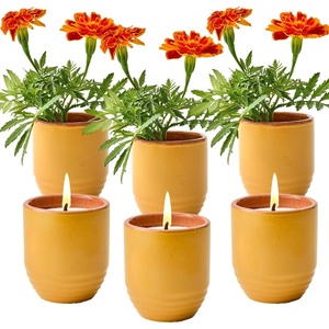 image:imageModern Sprout  2in1 Soy Candle amp Planter  in The Weeds Eucalyptus Pink Pepper Patchouli Citrus 6 Oz Scented Candle wMint Seeds  Ceramic Vessel Dual Purpose Jar  3840 Hour Burn3pack Cintronella