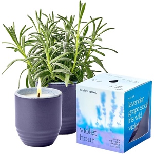 image:imageModern Sprout  2in1 Soy Candle amp Planter  in The Weeds Eucalyptus Pink Pepper Patchouli Citrus 6 Oz Scented Candle wMint Seeds  Ceramic Vessel Dual Purpose Jar  3840 Hour Burn1Pack Violet Hour  Lavender