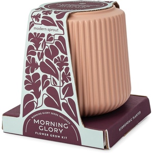 image:imageModern Sprout Flower Grow Kit  Ceramic Planter with Indoor Hydroponics Growing System Kit Ideal for Living Room Decor  Unique Gardening Gifts  Morning Glory Self Watering Flower Planting KitMorning Glory