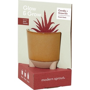 image:imageModern Sprout Glow and Grow Kit  2 in 1 Scented Candle that Grows into a Daisy Plant  12 oz Soy Candle with 78 hr Burn time in Glaze Ceramic Vessel  Planter Ideal for Home Decor AestheticAloe