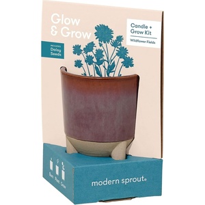 image:imageModern Sprout Glow and Grow Kit  2 in 1 Scented Candle that Grows into a Daisy Plant  12 oz Soy Candle with 78 hr Burn time in Glaze Ceramic Vessel  Planter Ideal for Home Decor AestheticDaisy