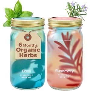 image:imageModern Sprout Mason Garden Jar  SelfWatering Hydroponics Growing System Kit with Organic Herb Seeds  Jar Planter for Indoor Herb Garden  Seed Starter Kit  Home Decor amp Gifting  LavenderBasilrosemary