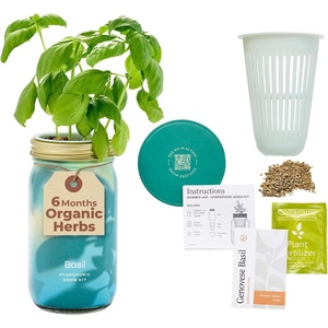 image:imageModern Sprout Mason Garden Jar  SelfWatering Hydroponics Growing System Kit with Organic Herb Seeds  Jar Planter for Indoor Herb Garden  Seed Starter Kit  Home Decor amp Gifting  LavenderBasil