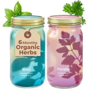 image:imageModern Sprout Mason Garden Jar  SelfWatering Hydroponics Growing System Kit with Organic Herb Seeds  Jar Planter for Indoor Herb Garden  Seed Starter Kit  Home Decor amp Gifting  LavenderBasilparsley