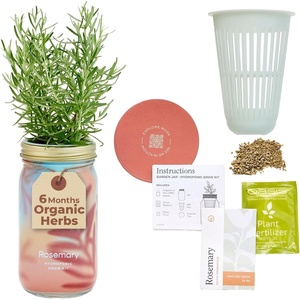 image:imageModern Sprout Mason Garden Jar  SelfWatering Hydroponics Growing System Kit with Organic Herb Seeds  Jar Planter for Indoor Herb Garden  Seed Starter Kit  Home Decor amp Gifting  LavenderRosemary