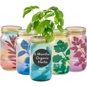 image:imageModern Sprout Mason Garden Jar  SelfWatering Hydroponics Growing System Kit with Organic Herb Seeds  Jar Planter for Indoor Herb Garden  Seed Starter Kit  Home Decor amp Gifting  LavenderBasil  Mint  Parsley  Cilantro  Rosemary