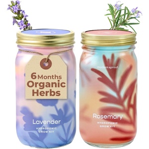 image:imageModern Sprout Mason Garden Jar  SelfWatering Hydroponics Growing System Kit with Organic Herb Seeds  Jar Planter for Indoor Herb Garden  Seed Starter Kit  Home Decor amp Gifting  LavenderLavenderrosemary