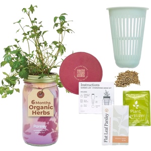 image:imageModern Sprout Mason Garden Jar  SelfWatering Hydroponics Growing System Kit with Organic Herb Seeds  Jar Planter for Indoor Herb Garden  Seed Starter Kit  Home Decor amp Gifting  LavenderParsley