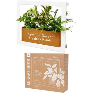 image:imageModern Sprout Smart Growframe  Wall Mounted Plant Stand with LED Grow Light  Smart App Controlled  PowderCoated Steel Frame for Indoor Plants  Perfect for Gifting Home and Kitchen Decor EmeraldSquare White