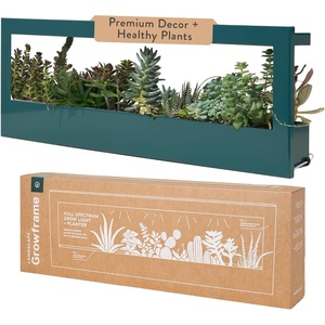 image:imageModern Sprout Smart Growframe  Wall Mounted Plant Stand with LED Grow Light  Smart App Controlled  PowderCoated Steel Frame for Indoor Plants  Perfect for Gifting Home and Kitchen Decor EmeraldLandscape Emerald