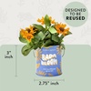 image:imageModern Sprout Complimentary Color Grow Kits Pack of 4  Gift for Plant Lovers  Seed Starter Kit  Includes Organic Strawberry Tomato Sunflower amp Cactus Seeds  Gardening Gifts that Grows with LovePack of 6