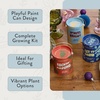 image:imageModern Sprout Complimentary Color Grow Kits Pack of 4  Gift for Plant Lovers  Seed Starter Kit  Includes Organic Strawberry Tomato Sunflower amp Cactus Seeds  Gardening Gifts that Grows with LovePack of 3